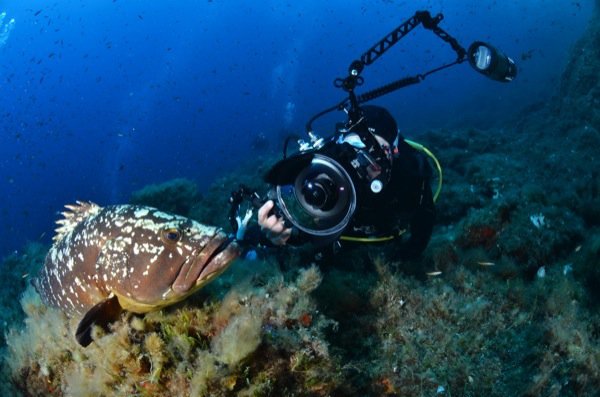 Sortie FFESSM Gabigniere 2014